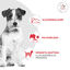 8 kg Royal Canin Glycobalance Ra&ccedil;&atilde;o para c&atilde;es, , large Indicador imagem n&uacute;mero 4