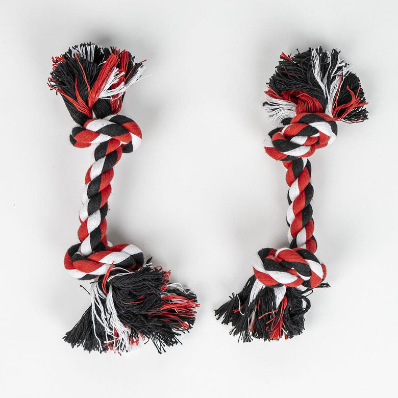 Disney Minnie Mouse Conjunto de presente de boas-vindas para cães,  Imagem número 3 Disney Minnie Mouse Conjunto de presente de boas-vindas para cães, , large Imagem número 3