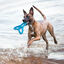Kong Flyangle Brinquedo para cães, , large Indicador imagem número 3