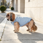 Gotoo Casaco Azul-Claro para c&atilde;es, , large Indicador imagem n&uacute;mero 1