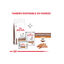 Royal Canin GastroIntestinal Low Fat ração para cães pequenos, , large Indicador imagem número 9