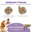 Outward Hound Hide n’ Slide Puzzle para cães, , large Indicador imagem número 4