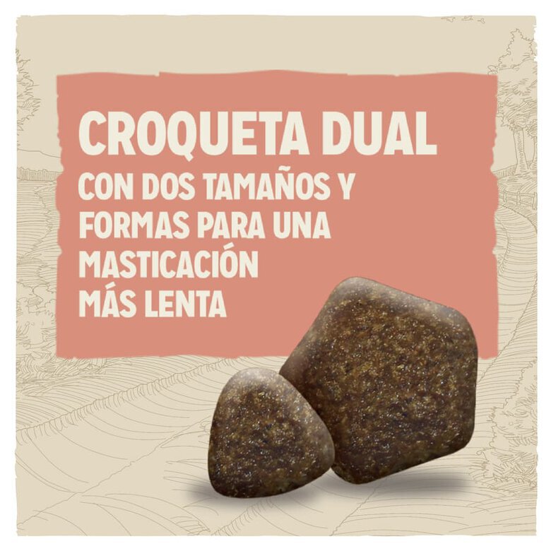 14 kg Dog Chow Active Frango ração para cães,  Imagem número 3 14 kg Dog Chow Active Frango ração para cães, , large Imagem número 3