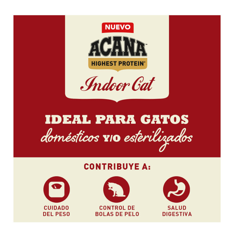 4.5 kg Acana Highest Protein Indoor Ração de frango, salmão e truta para gatos,  Imagem número 2 4.5 kg Acana Highest Protein Indoor Ração de frango, salmão e truta para gatos, , large Imagem número 2