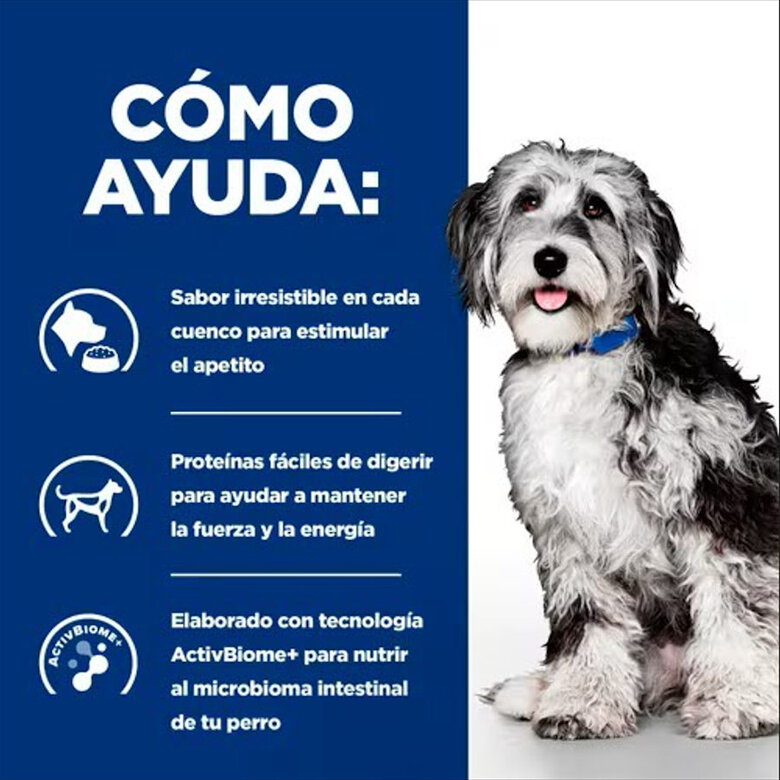 Hill's Prescription Diet ON-Care Frango ração para cães,  Imagem número 3 Hill's Prescription Diet ON-Care Frango ração para cães, , large Imagem número 3