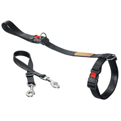 Flamingo trela ​​de treinamento para cães
