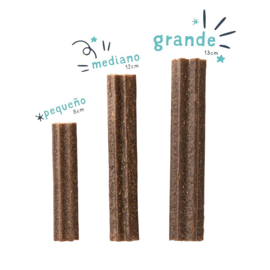 7 sticks Edgard y Cooper snacks dent&aacute;rios Adult Medium ma&ccedil;&atilde; e eucalipto para c&atilde;es, , large Imagem n&uacute;mero 2