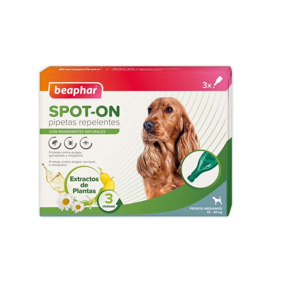 Beaphar Pipetas Repelentes para c&atilde;es, , large Imagem n&uacute;mero 1