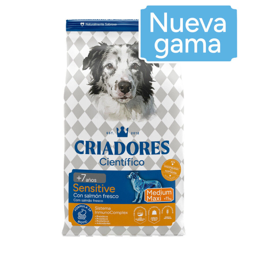 Criadores Cient&iacute;fico Senior Sensitive Medium-Maxi Ra&ccedil;&atilde;o de salm&atilde;o para c&atilde;es, , large Imagem n&uacute;mero 2