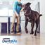 108 sticks Dentalife Snacks Dentários para cães de raça grande Pack poupança!, , large Indicador imagem número 7
