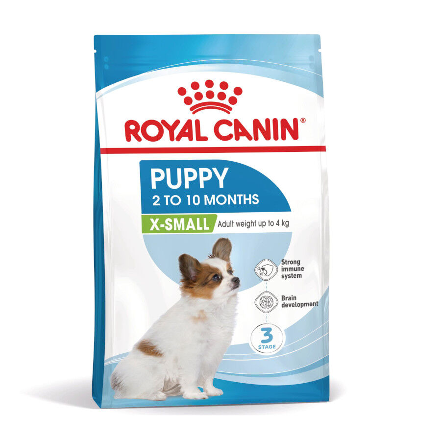 3 kg Royal Canin X-Small Puppy ra&ccedil;&atilde;o para c&atilde;es, , large Imagem n&uacute;mero 2