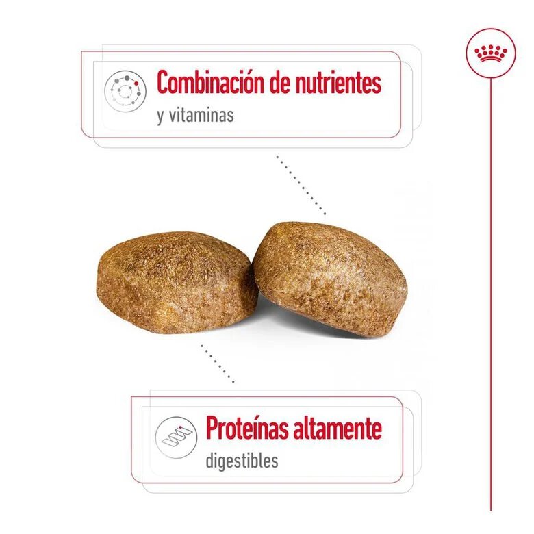 15 kg Royal Canin Adult Giant ração para cães,  Imagem número 6 15 kg Royal Canin Adult Giant ração para cães, , large Imagem número 6