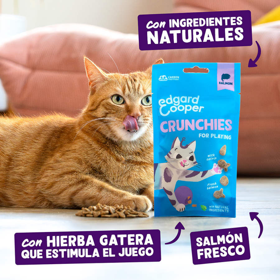 50 g Edgard & Cooper Crunchies Snack de salm&atilde;o para gatos, , large Imagem n&uacute;mero 2