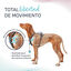 Halti Peitoral Anatómico azul-esverdeado para cães pequenos, , large Indicador imagem número 2