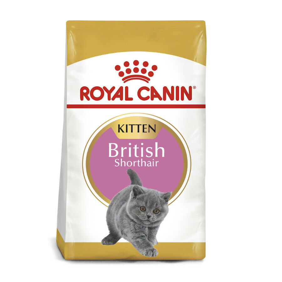 2 kg Royal Canin British Shorthair Kitten Ra&ccedil;&atilde;o para gatos, , large Imagem n&uacute;mero 1