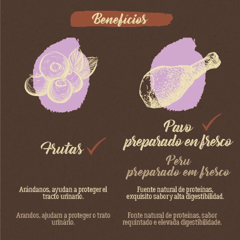 2 kg Ração para gatos True Origins Pure Adult esterilizada sem grãos de peru,  Imagem número 5 2 kg Ração para gatos True Origins Pure Adult esterilizada sem grãos de peru, , large Imagem número 5