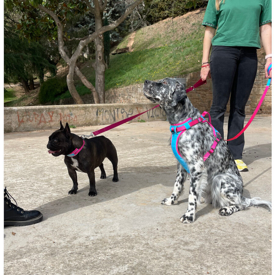 Freedog Cool Pro Tech Trela Desportiva F&uacute;scia para c&atilde;es, , large Imagem n&uacute;mero 5