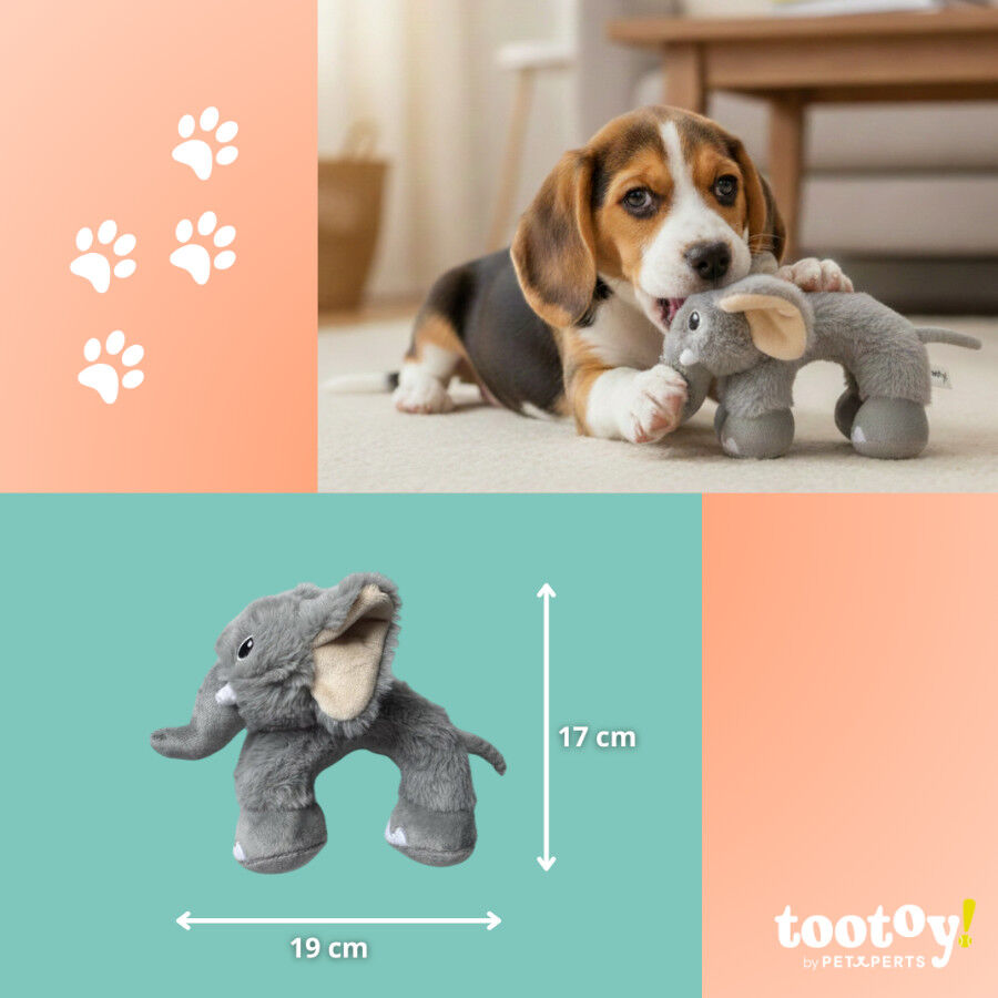 Tootoy! Puppy Peluche Elefante ponte para c&atilde;es, , large Imagem n&uacute;mero 4