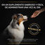 Pro Plan Multivitamin Suplemento para cães, , large Indicador imagem número 5