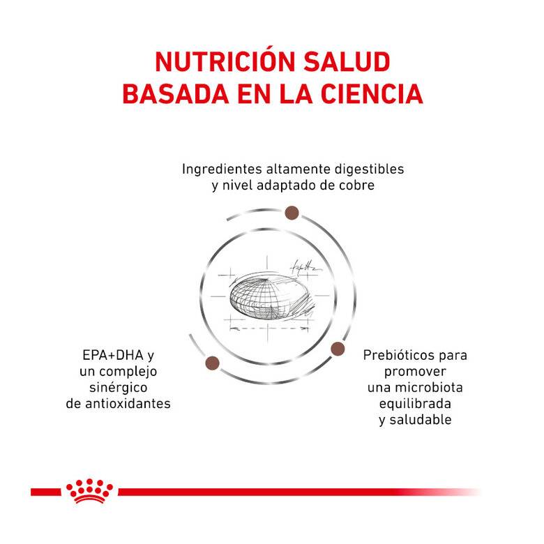4 kg Royal Canin Veterinary Hepatic ração para gatos ,  Imagem número 2 4 kg Royal Canin Veterinary Hepatic ração para gatos , , large Imagem número 2