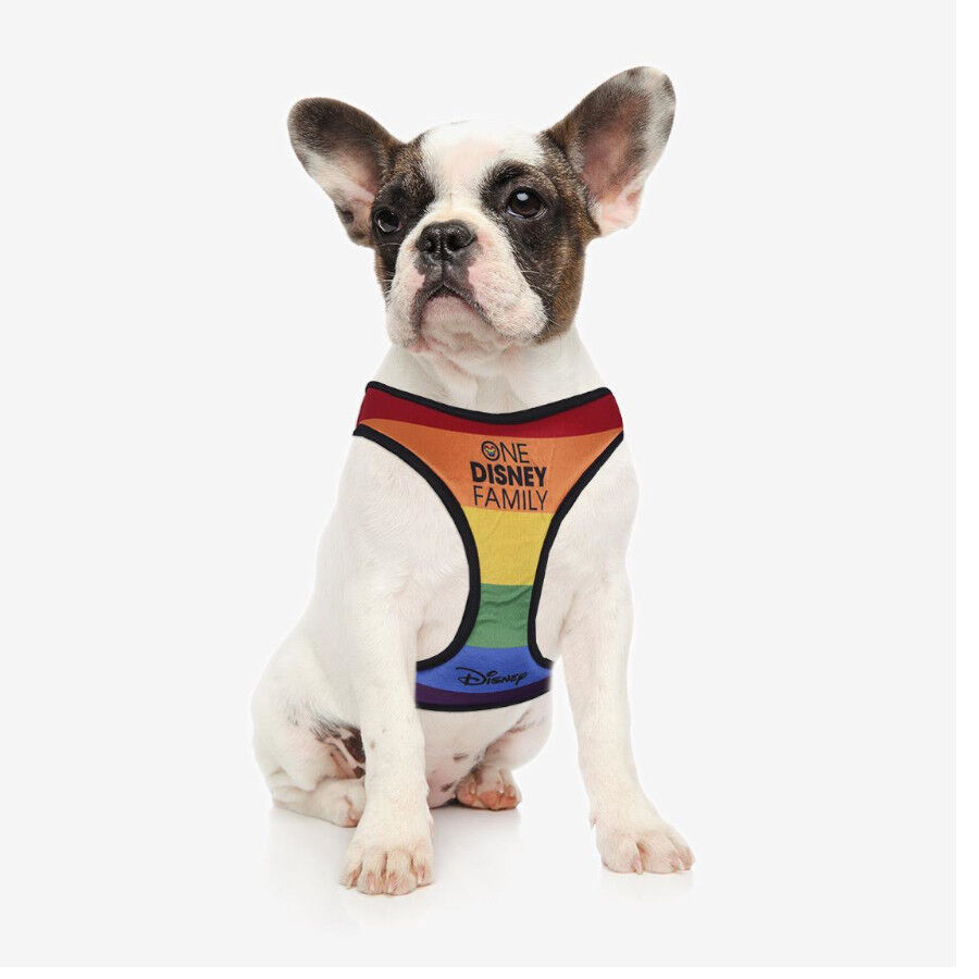 Disney Pride Peitoral multicolorido para c&atilde;es, , large Imagem n&uacute;mero 2