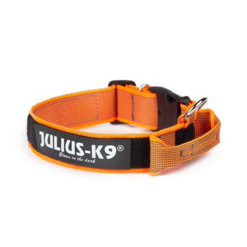 Julius K9 collar para perros nylon naranja con asa Imagem n&uacute;mero 1