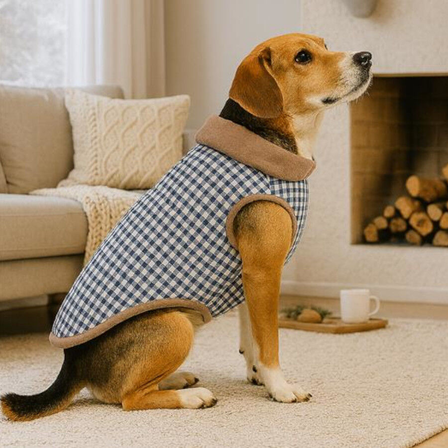 Outech Casaco Bomber Vichy Navy para c&atilde;es, , large Imagem n&uacute;mero 1