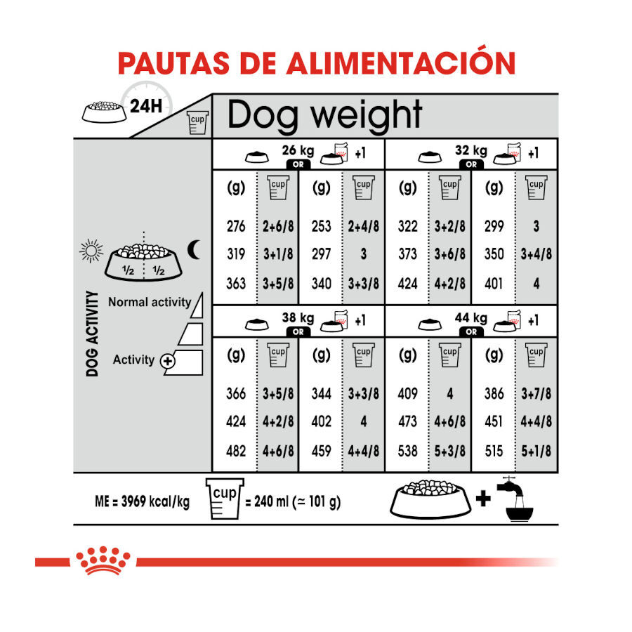 12 kg Royal Canin Maxi Dermacomfort ra&ccedil;&atilde;o para c&atilde;es, , large Imagem n&uacute;mero 8