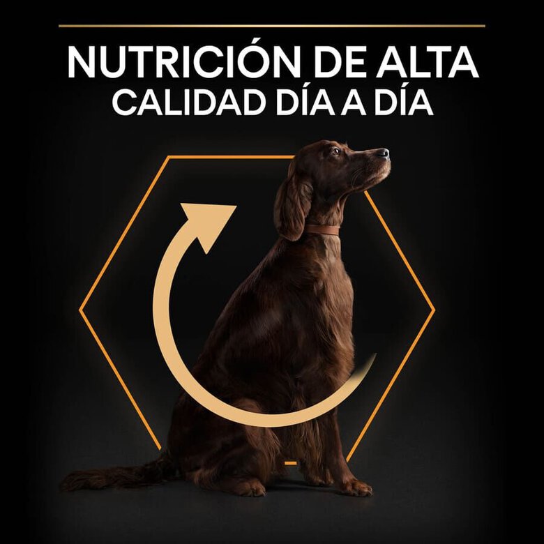 14 kg Pro Plan Large Athletic Adult Frango ração para cães,  Imagem número 8 14 kg Pro Plan Large Athletic Adult Frango ração para cães, , large Imagem número 8