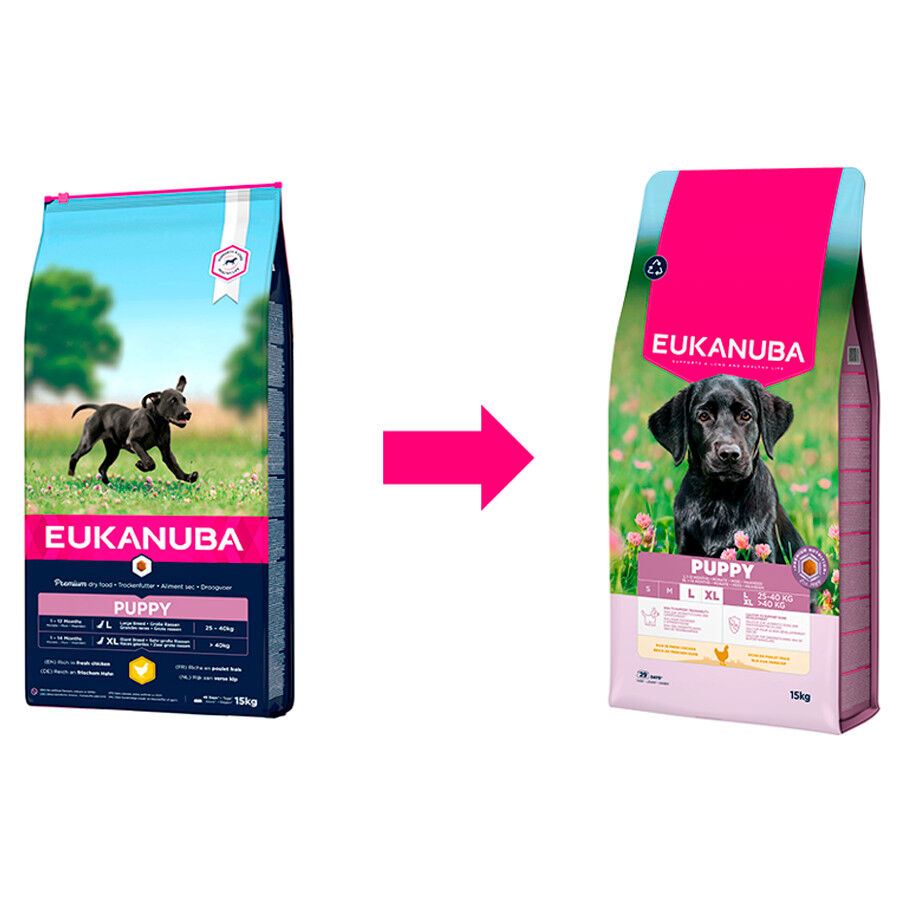 15 kg Eukanuba Puppy Large Breed Frango ra&ccedil;ao para c&atilde;es, , large Imagem n&uacute;mero 2