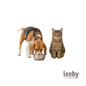 Leeby Comedouro em A&ccedil;o Inoxid&aacute;vel com Base de Borracha para c&atilde;es e gatos