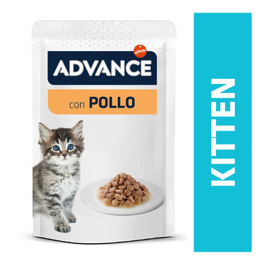 Advance Kitten Frango Saqueta em Molho