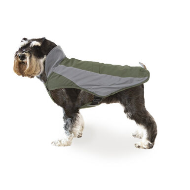 Outech Dakar Capa de chuva verde para cães