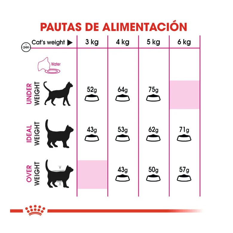 2 kg Royal Canin Adult Exigent Protein ração para gatos,  Imagem número 6 2 kg Royal Canin Adult Exigent Protein ração para gatos, , large Imagem número 6