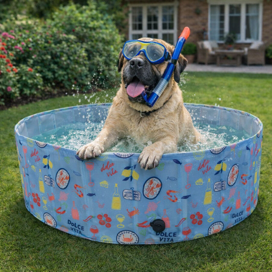 Summer Vibes Pool Funny Dolce Vita Piscina para c&atilde;es, , large Imagem n&uacute;mero 1