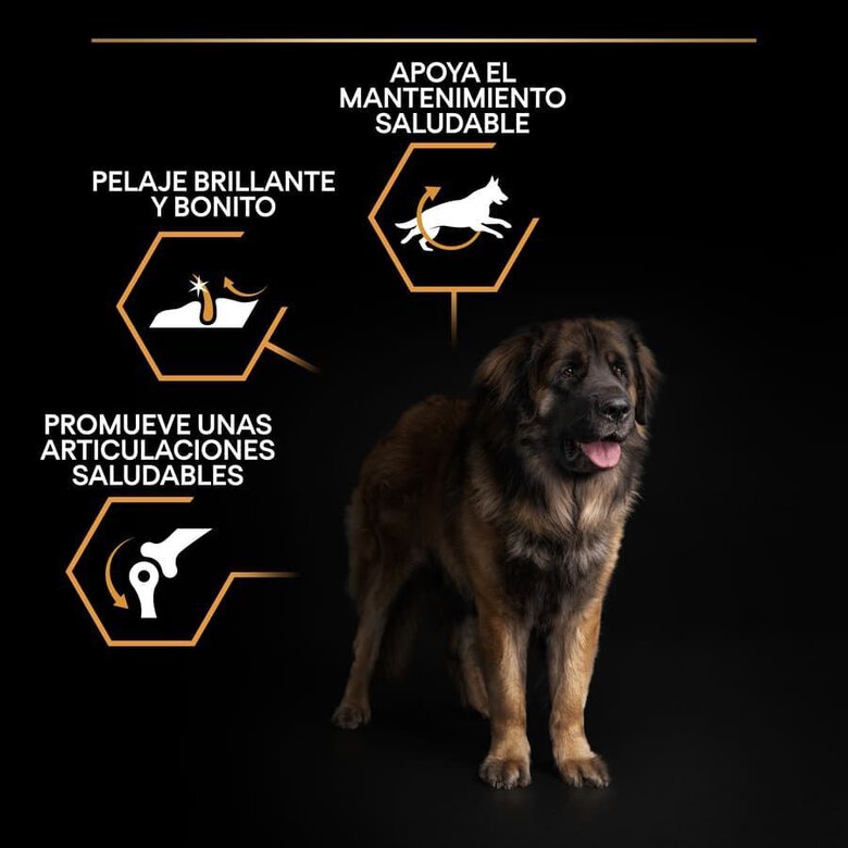 16.5 kg (14 + 2.5 kg grátis!) Pro Plan Large Robust Adult ração para cães,  Imagem número 3 16.5 kg (14 + 2.5 kg grátis!) Pro Plan Large Robust Adult ração para cães, , large Imagem número 3