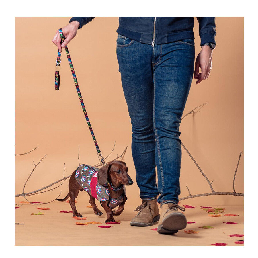 Disney Marvel Capa de Chuva Imperme&aacute;vel Captain America para c&atilde;es, , large Imagem n&uacute;mero 6