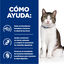 82 g Hill’s Prescription Diet Gastrointestinal Biome Stress estufado lata para gatos, , large Indicador imagem número 4