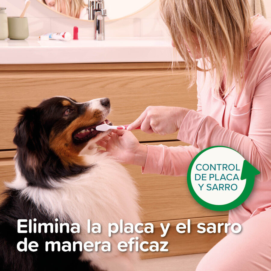 Beaphar Creme dental com hortel&atilde; e salsa para c&atilde;es e gatos, , large Imagem n&uacute;mero 3