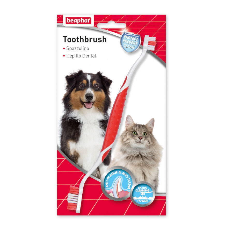 Beaphar Kit dent&aacute;rio para c&atilde;es, , large Imagem n&uacute;mero 1