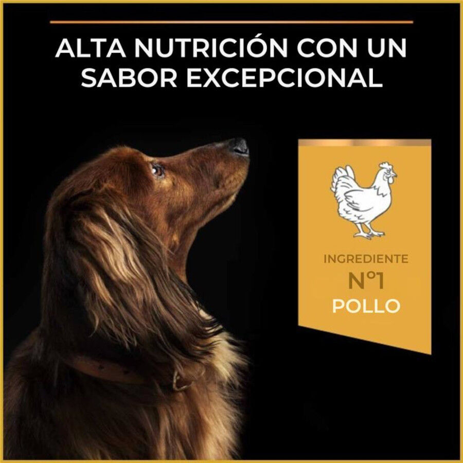 Purina Pro Plan Adult Light Esterilizado Pienso Pollo para perros, , large Imagem n&uacute;mero 6