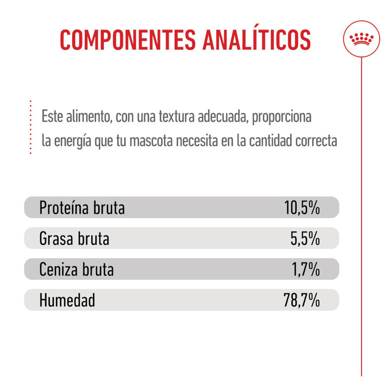 195 g Royal Canin Mother Baby mousse latas para gatos,  Imagem número 9 195 g Royal Canin Mother Baby mousse latas para gatos, , large Imagem número 9