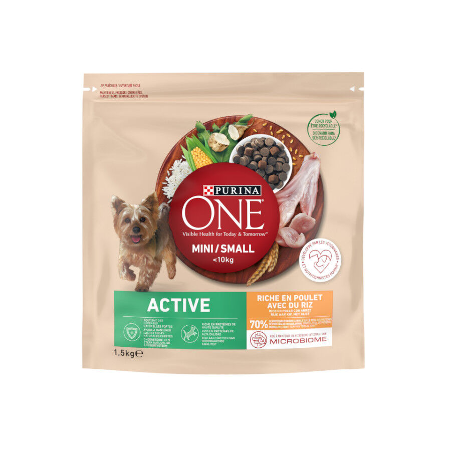 Purina One Mini Active Frango ra&ccedil;&atilde;o para c&atilde;es, , large Imagem n&uacute;mero 1