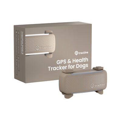 Tractive GPS Dog 6 Rastreador de cães marrom