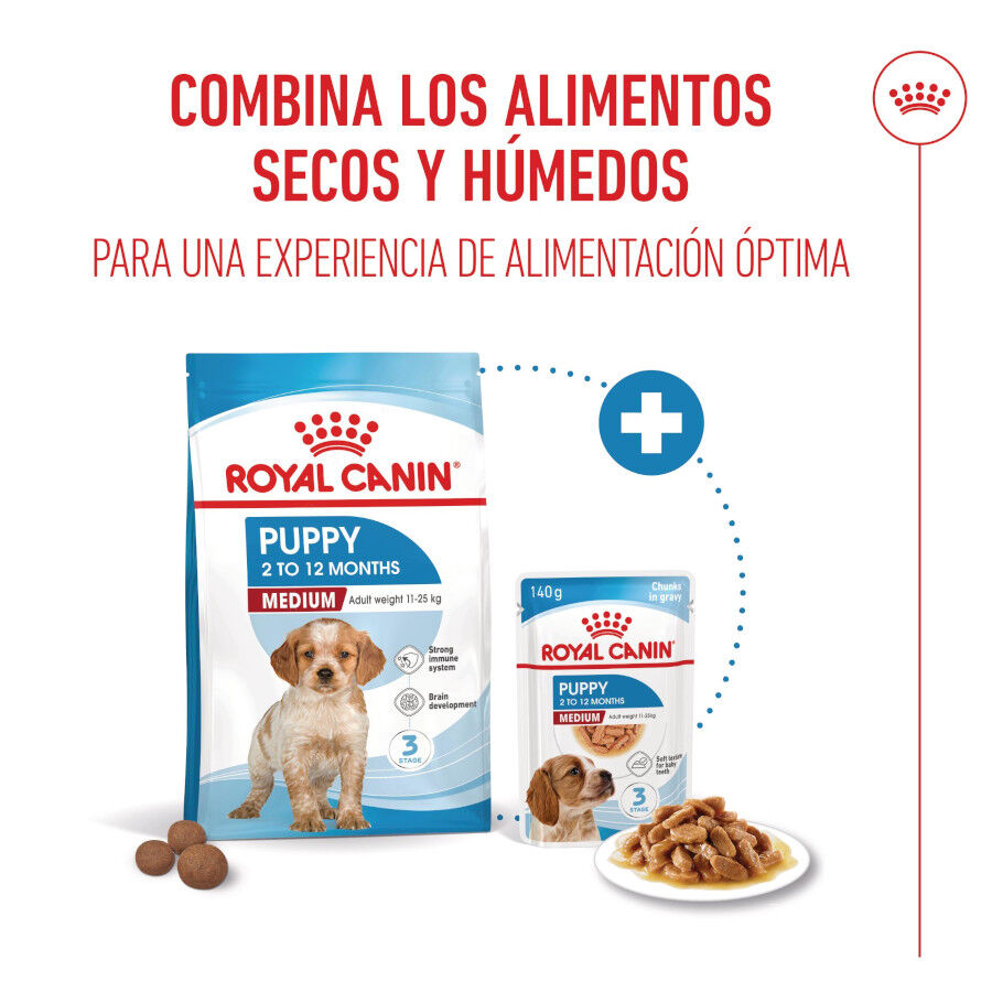 140 g Royal Canin Medium Puppy saquetas para c&atilde;es, , large Imagem n&uacute;mero 4