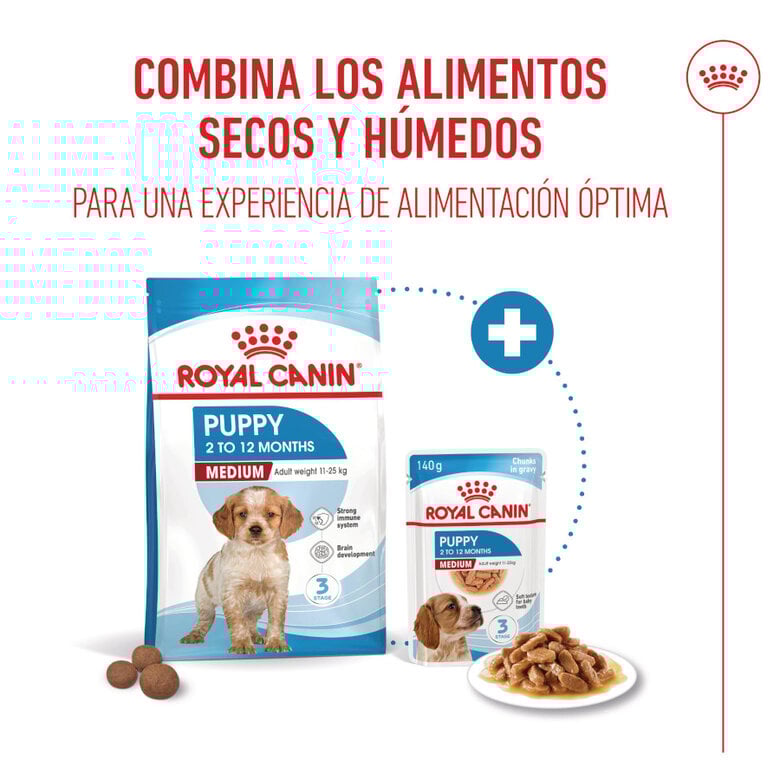 140 g Royal Canin Medium Puppy saquetas para cães,  Imagem número 4 140 g Royal Canin Medium Puppy saquetas para cães, , large Imagem número 4