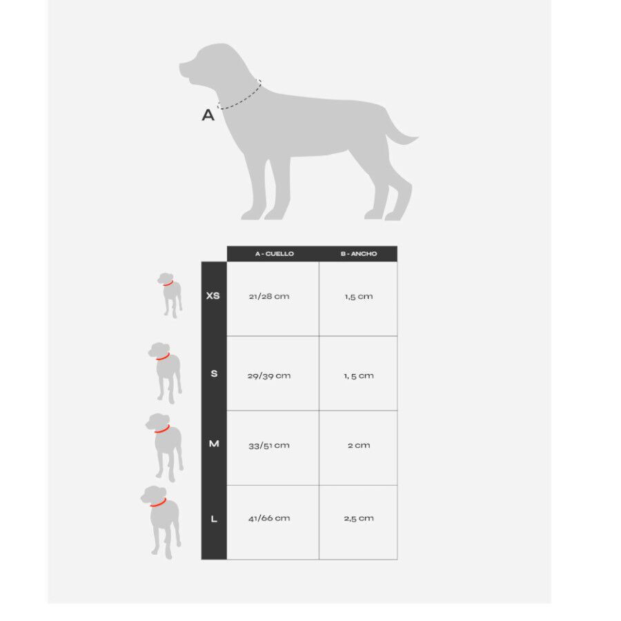 Dukier Coleira com Estampado de Tartarugas para c&atilde;es, , large Imagem n&uacute;mero 3