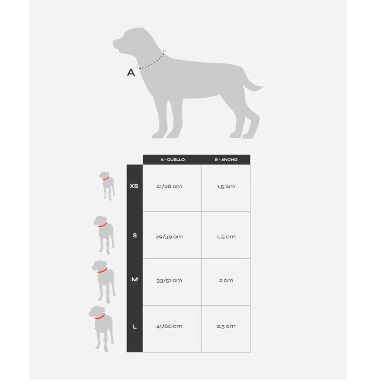 Dukier Coleira com Estampado de Tartarugas para cães,  Imagem número 3 Dukier Coleira com Estampado de Tartarugas para cães, , large Imagem número 3