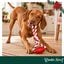 Wonder Christmas Osso com Corda Brinquedo para c&atilde;es, , large Indicador imagem n&uacute;mero 2