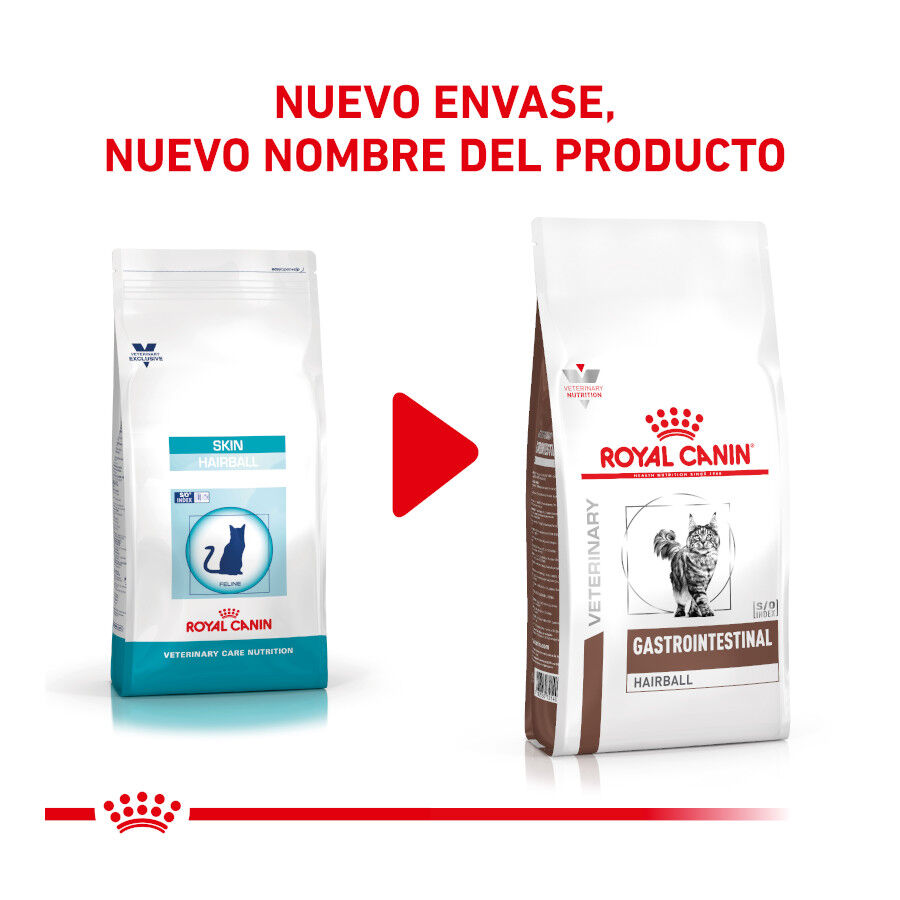 2 kg Royal Canin Gastrointestinal Hairball ra&ccedil;&atilde;o para gatos, , large Imagem n&uacute;mero 2